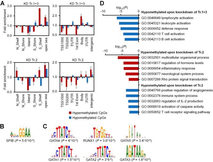 https://cdn.ncbi.nlm.nih.gov/pmc/blobs/4480/6293073/b5707dd23b31/LSA-2018-00153_FigS4.jpg