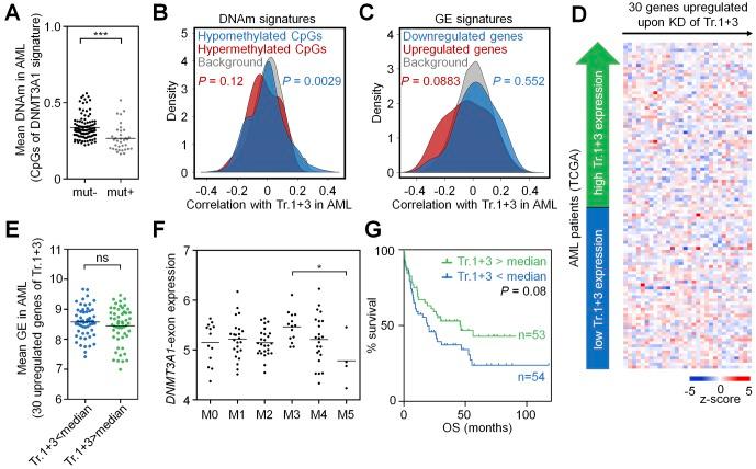 https://cdn.ncbi.nlm.nih.gov/pmc/blobs/4480/6293073/de03e8d3905a/LSA-2018-00153_FigS6.jpg