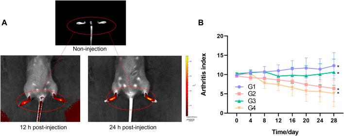 https://cdn.ncbi.nlm.nih.gov/pmc/blobs/4480/9197263/c6eaf58ad28d/fphar-13-849101-g007.jpg