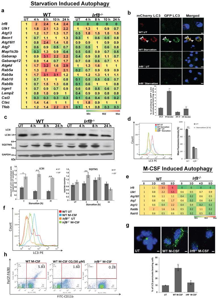 https://cdn.ncbi.nlm.nih.gov/pmc/blobs/4483/4363081/029420f2e8a0/nihms658409f7.jpg