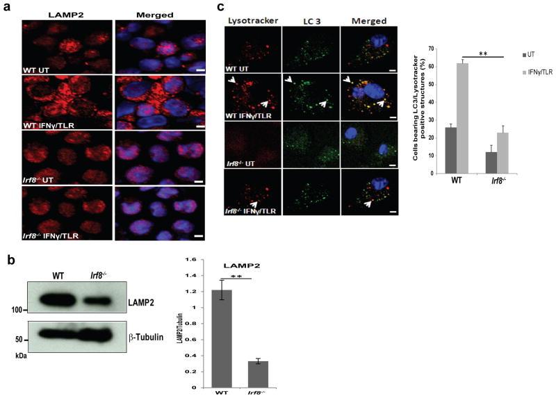 https://cdn.ncbi.nlm.nih.gov/pmc/blobs/4483/4363081/7a22dcfa845b/nihms658409f4.jpg