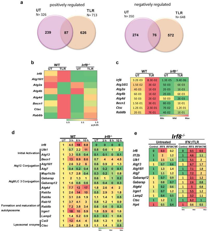 https://cdn.ncbi.nlm.nih.gov/pmc/blobs/4483/4363081/7cce374dc0d6/nihms658409f1.jpg