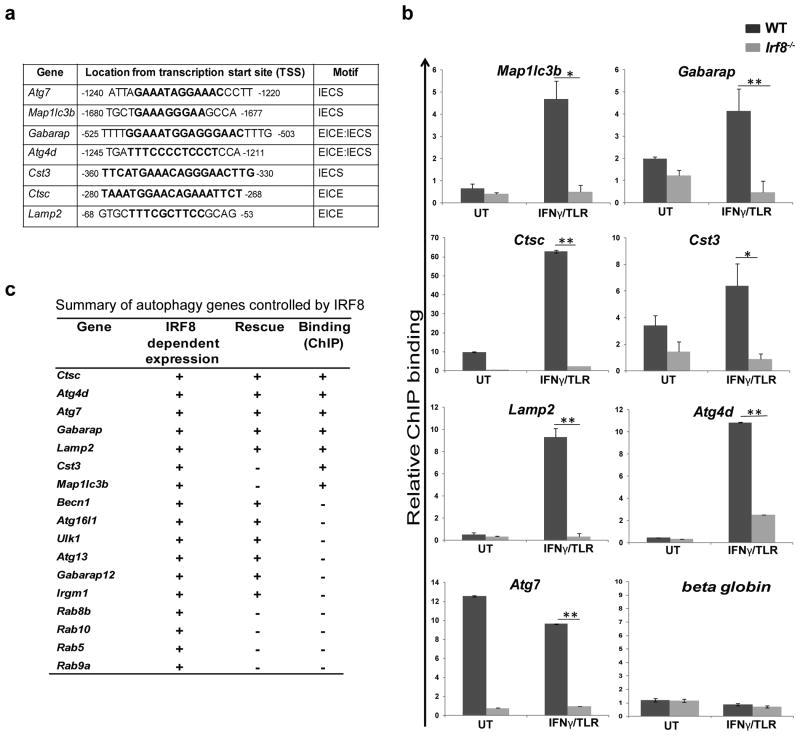 https://cdn.ncbi.nlm.nih.gov/pmc/blobs/4483/4363081/cc74801f8e88/nihms658409f2.jpg