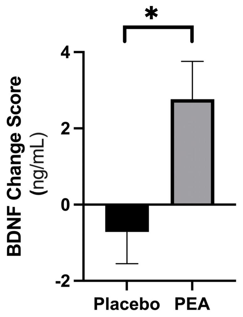 https://cdn.ncbi.nlm.nih.gov/pmc/blobs/4484/10891801/6b4a2593bfef/nutrients-16-00489-g002.jpg
