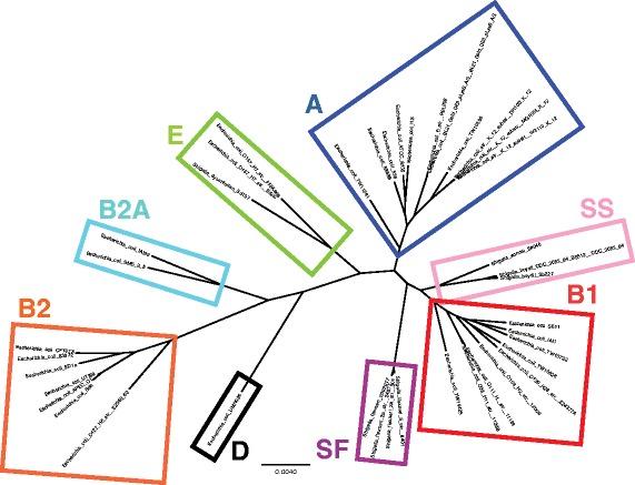 https://cdn.ncbi.nlm.nih.gov/pmc/blobs/4484/5408420/27e2d84ca0a2/12864_2017_3717_Fig4_HTML.jpg