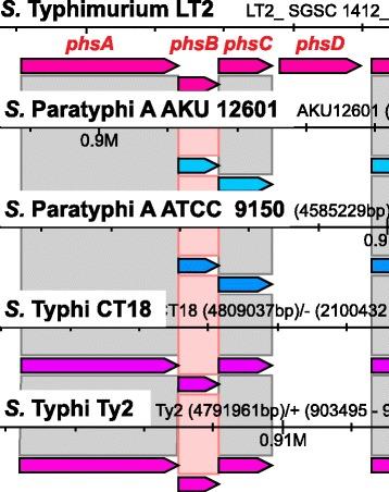 https://cdn.ncbi.nlm.nih.gov/pmc/blobs/4484/5408420/54ff728600d8/12864_2017_3717_Fig5_HTML.jpg