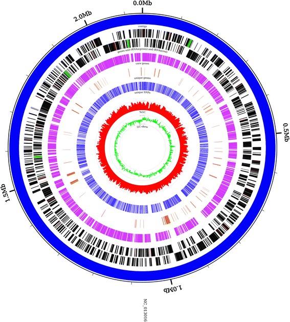 https://cdn.ncbi.nlm.nih.gov/pmc/blobs/4484/5408420/e4f35eefe041/12864_2017_3717_Fig3_HTML.jpg