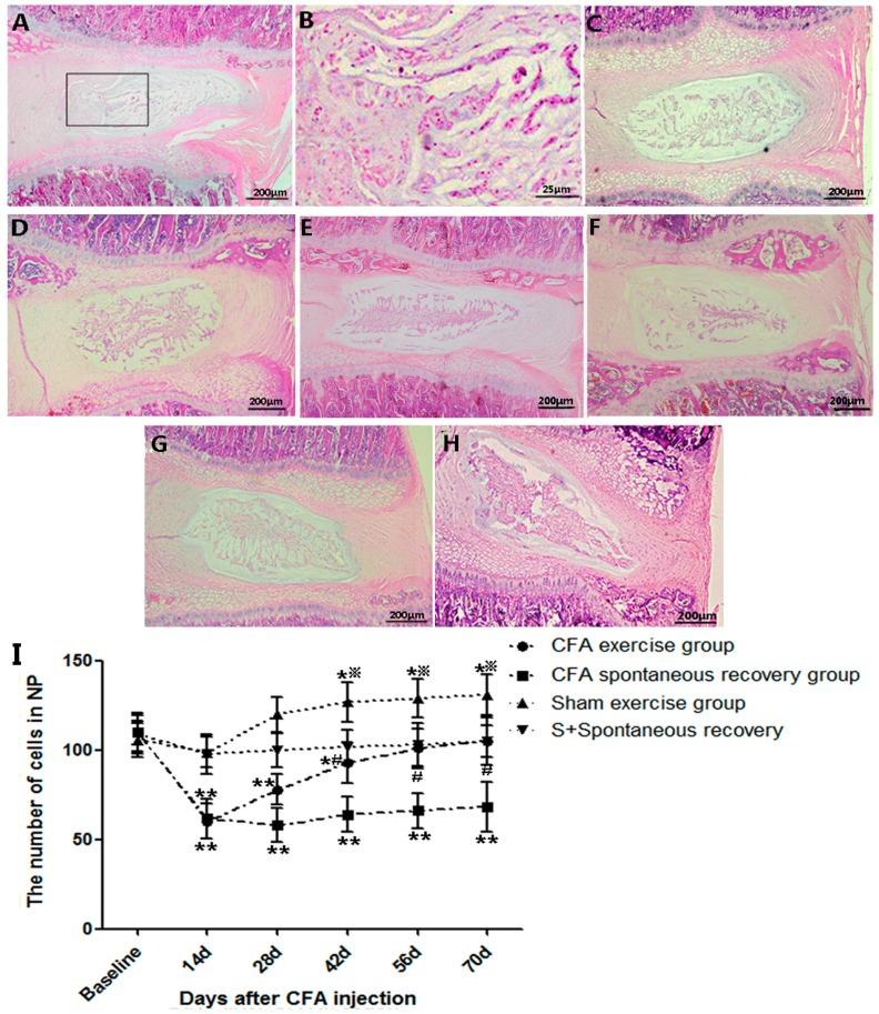 https://cdn.ncbi.nlm.nih.gov/pmc/blobs/4485/4307353/e3718550183b/ijms-16-02130-g002a.jpg
