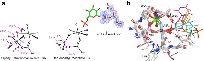 https://cdn.ncbi.nlm.nih.gov/pmc/blobs/4486/5480424/586258c21804/41061_2017_130_Fig6_HTML.jpg