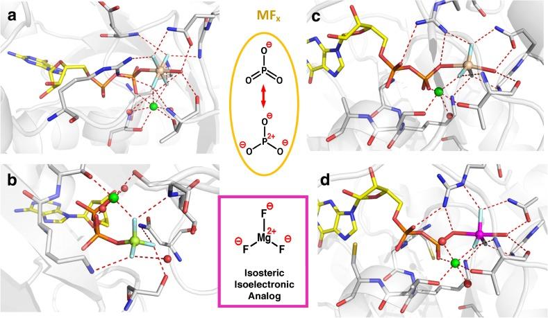 https://cdn.ncbi.nlm.nih.gov/pmc/blobs/4486/5480424/661263c8e3c4/41061_2017_130_Fig2_HTML.jpg