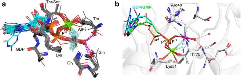 https://cdn.ncbi.nlm.nih.gov/pmc/blobs/4486/5480424/6b10bcea9c27/41061_2017_130_Fig7_HTML.jpg
