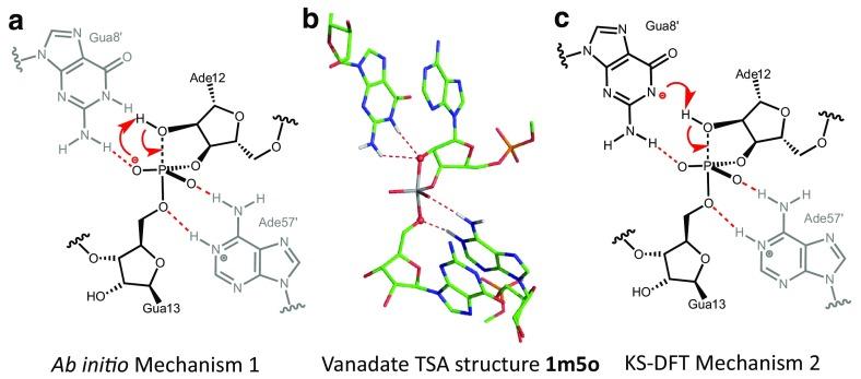 https://cdn.ncbi.nlm.nih.gov/pmc/blobs/4486/5480424/7e97a4f645f7/41061_2017_130_Fig15_HTML.jpg