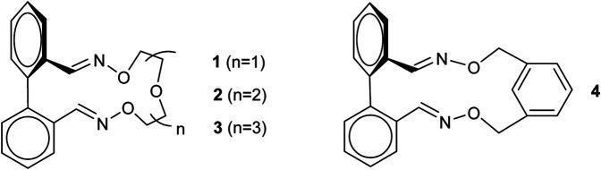 https://cdn.ncbi.nlm.nih.gov/pmc/blobs/4487/8527037/69a602dfd462/fchem-09-750418-g010.jpg