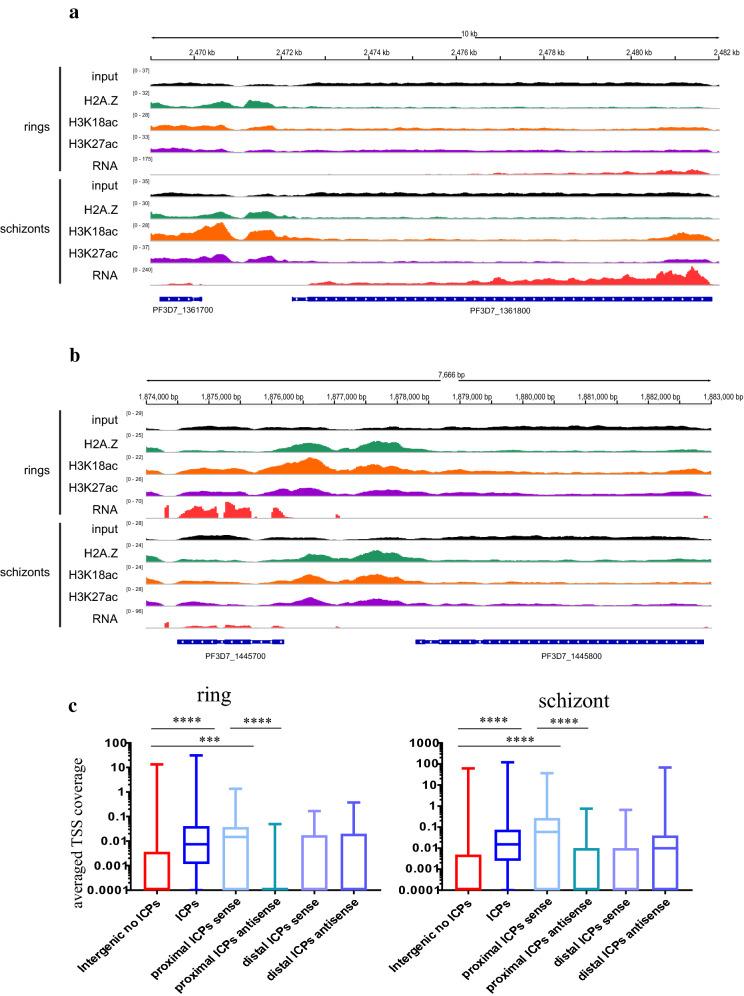 https://cdn.ncbi.nlm.nih.gov/pmc/blobs/448b/7682024/a0122dc2dc63/13072_2020_365_Fig9_HTML.jpg