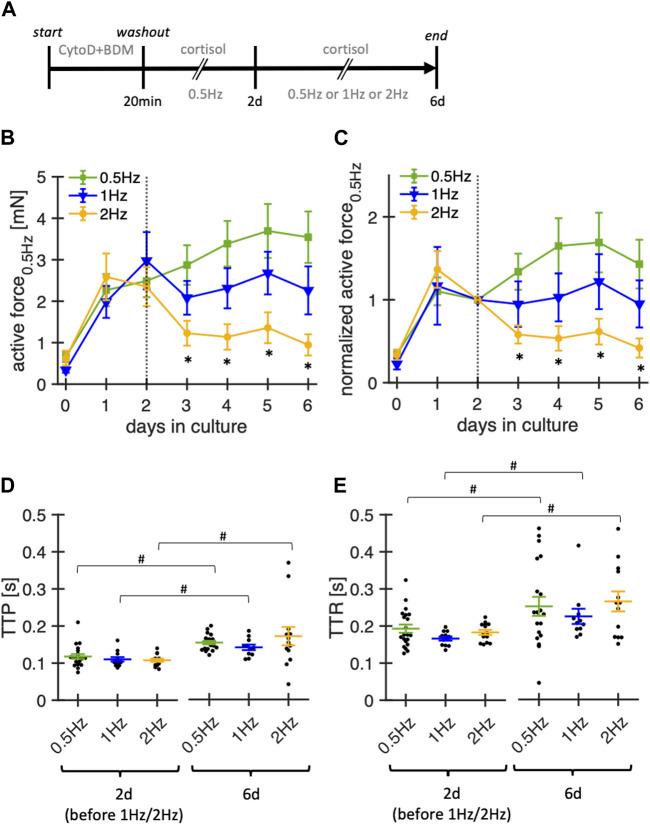 https://cdn.ncbi.nlm.nih.gov/pmc/blobs/448c/11026719/0670eabf15cc/fbioe-12-1363538-g007.jpg
