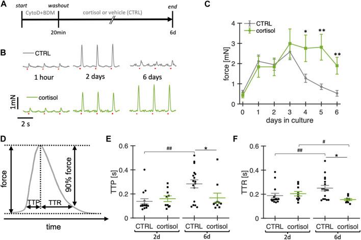 https://cdn.ncbi.nlm.nih.gov/pmc/blobs/448c/11026719/8f70c2a00636/fbioe-12-1363538-g004.jpg