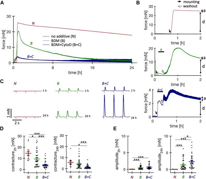 https://cdn.ncbi.nlm.nih.gov/pmc/blobs/448c/11026719/8fa1a130d89f/fbioe-12-1363538-g001.jpg