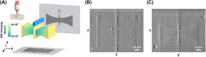 https://cdn.ncbi.nlm.nih.gov/pmc/blobs/448c/11501605/b87d5dc99150/j_nanoph-2022-0598_fig_004.jpg