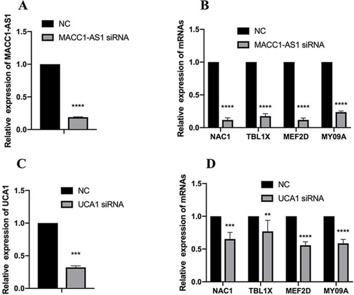https://cdn.ncbi.nlm.nih.gov/pmc/blobs/448c/9272136/a5c523dc0247/mmcfigs1.jpg
