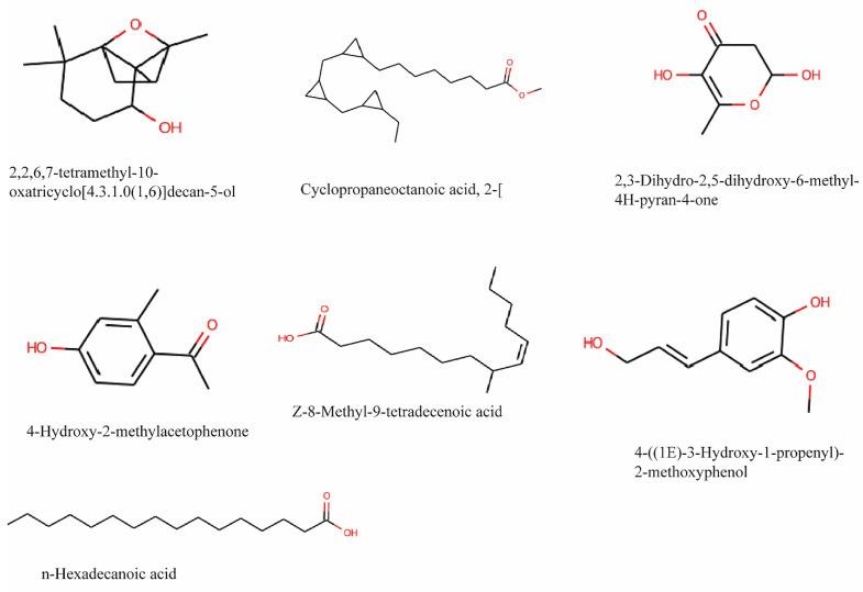 https://cdn.ncbi.nlm.nih.gov/pmc/blobs/4490/10988208/0b55ace22191/ntnov08p0312g002.jpg