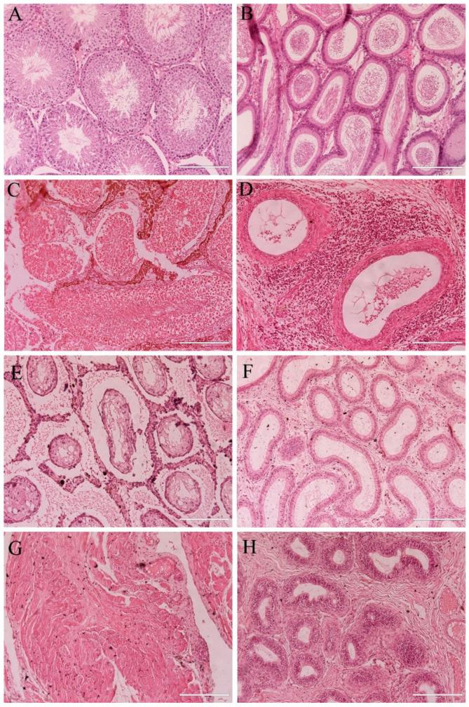https://cdn.ncbi.nlm.nih.gov/pmc/blobs/4490/12115021/8bf475d43935/pharmaceutics-17-00602-g006.jpg