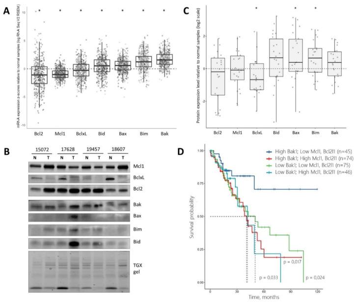 https://cdn.ncbi.nlm.nih.gov/pmc/blobs/4490/8750033/9502002a53b8/cancers-14-00181-g007.jpg