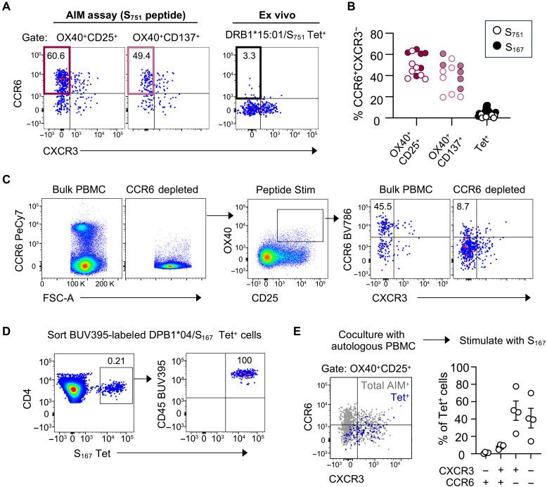 https://cdn.ncbi.nlm.nih.gov/pmc/blobs/4492/12024690/5af24fc3ae68/sciadv.adv3491-f1.jpg