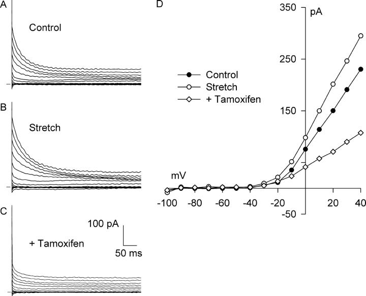 https://cdn.ncbi.nlm.nih.gov/pmc/blobs/4492/2229598/f527637e2b0e/200308899f6.jpg