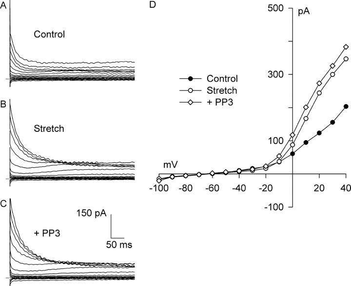 https://cdn.ncbi.nlm.nih.gov/pmc/blobs/4492/2229598/febe46871f28/200308899f9.jpg