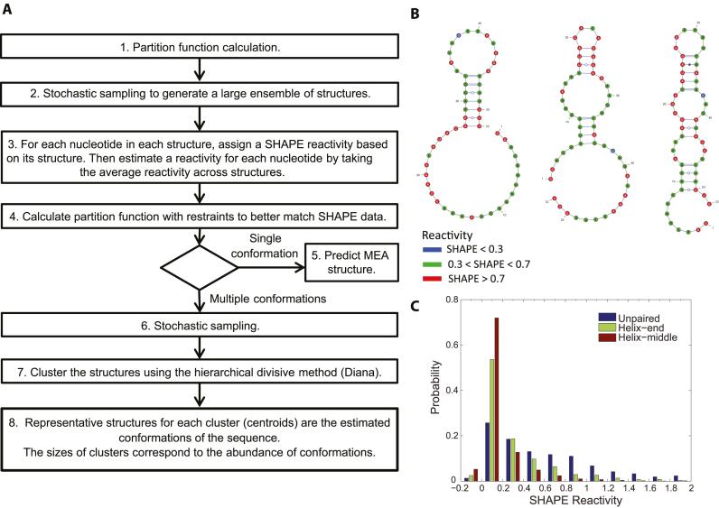 https://cdn.ncbi.nlm.nih.gov/pmc/blobs/4492/5758915/8e7e3ccf5102/gkx1057fig1.jpg