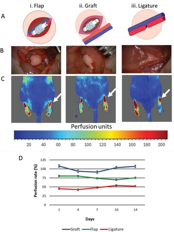 https://cdn.ncbi.nlm.nih.gov/pmc/blobs/4493/12083442/68629fadcf5e/ADHM-14-0-g001.jpg