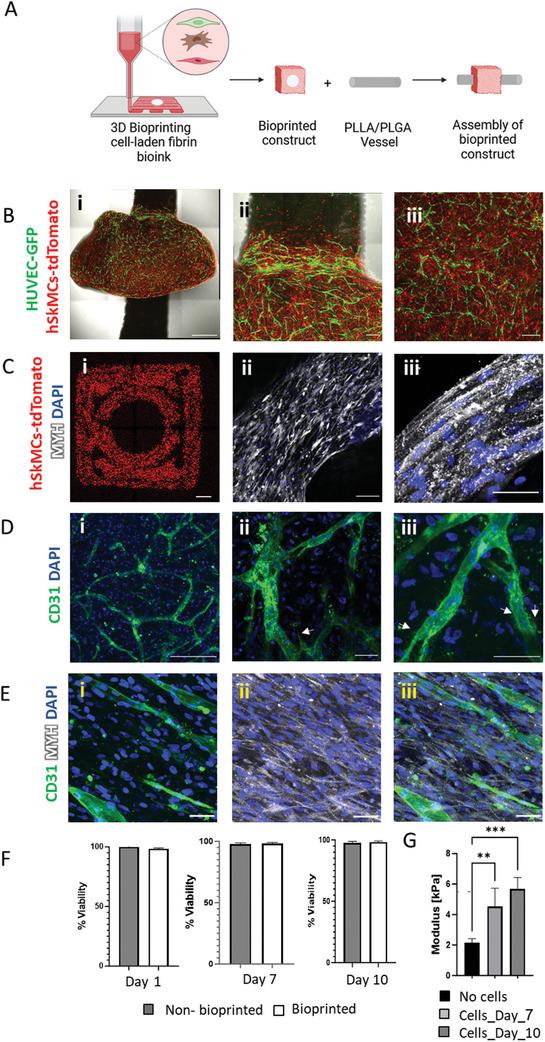 https://cdn.ncbi.nlm.nih.gov/pmc/blobs/4493/12083442/a1a33a346247/ADHM-14-0-g005.jpg