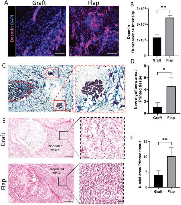https://cdn.ncbi.nlm.nih.gov/pmc/blobs/4493/12083442/dd49202533c5/ADHM-14-0-g003.jpg