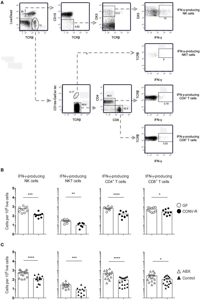 https://cdn.ncbi.nlm.nih.gov/pmc/blobs/4494/4687475/b13c73543c4d/fcimb-05-00093-g0002.jpg