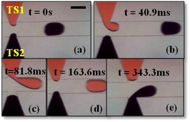 https://cdn.ncbi.nlm.nih.gov/pmc/blobs/4494/5785494/d69c5242c1a8/41598_2018_19966_Fig4_HTML.jpg