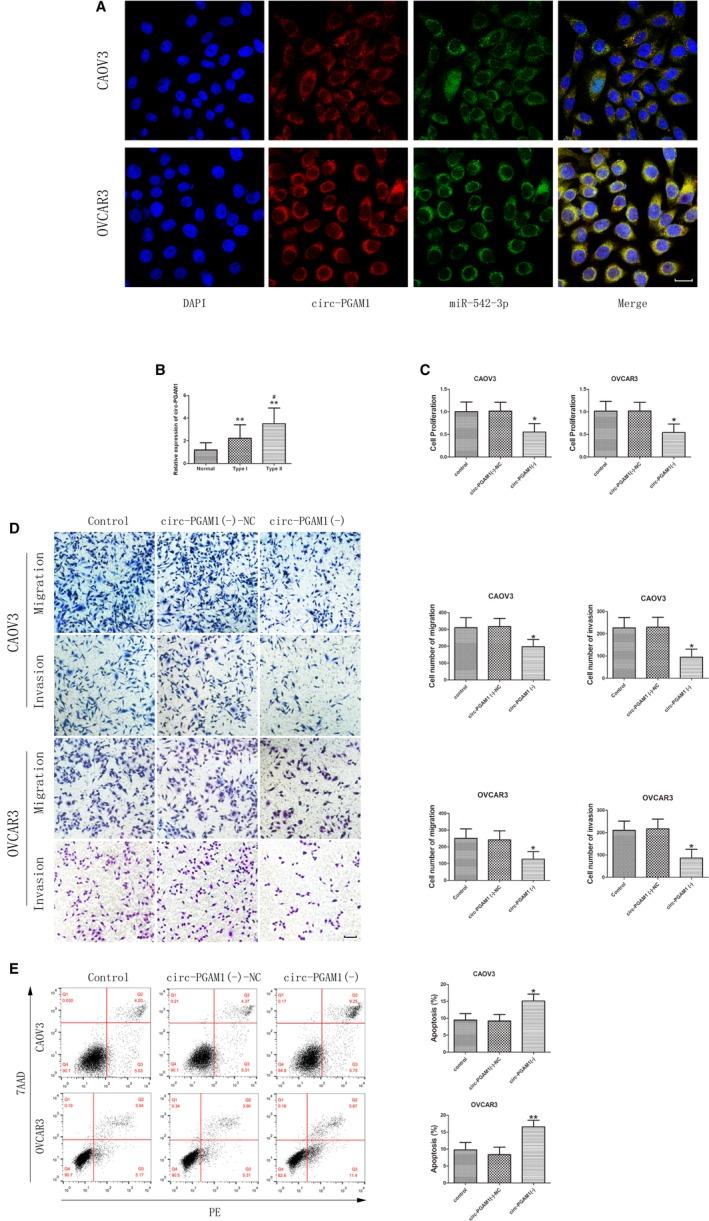 https://cdn.ncbi.nlm.nih.gov/pmc/blobs/4494/7221433/10b035f11b8b/CAM4-9-3500-g001.jpg