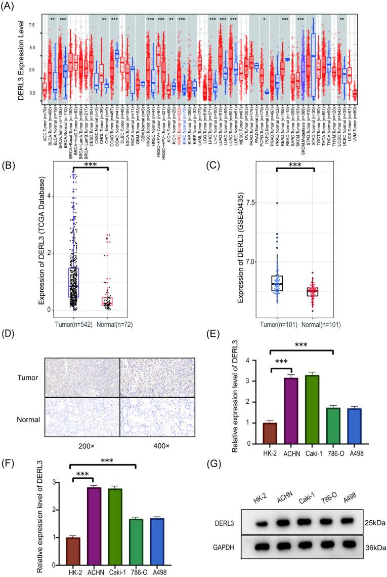 https://cdn.ncbi.nlm.nih.gov/pmc/blobs/4498/12040103/013b33dd46a8/pone.0322172.g001.jpg