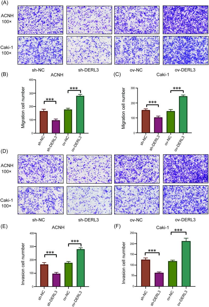 https://cdn.ncbi.nlm.nih.gov/pmc/blobs/4498/12040103/521b382aa09c/pone.0322172.g006.jpg