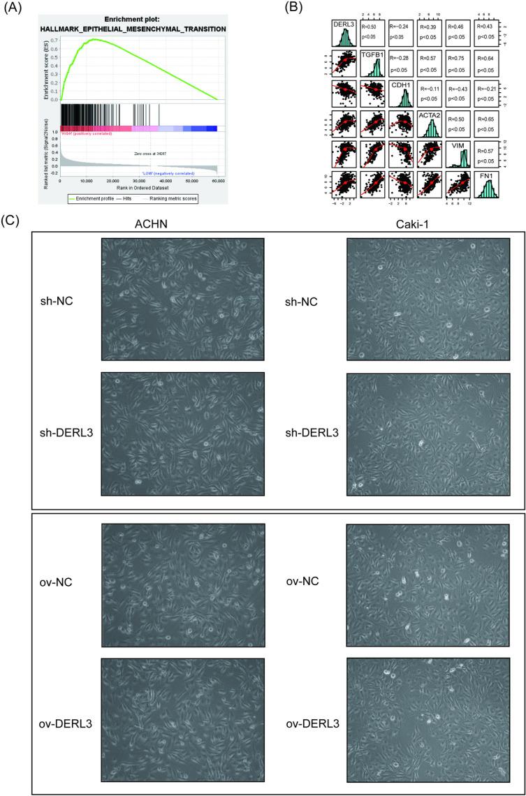 https://cdn.ncbi.nlm.nih.gov/pmc/blobs/4498/12040103/90f08773e308/pone.0322172.g007.jpg
