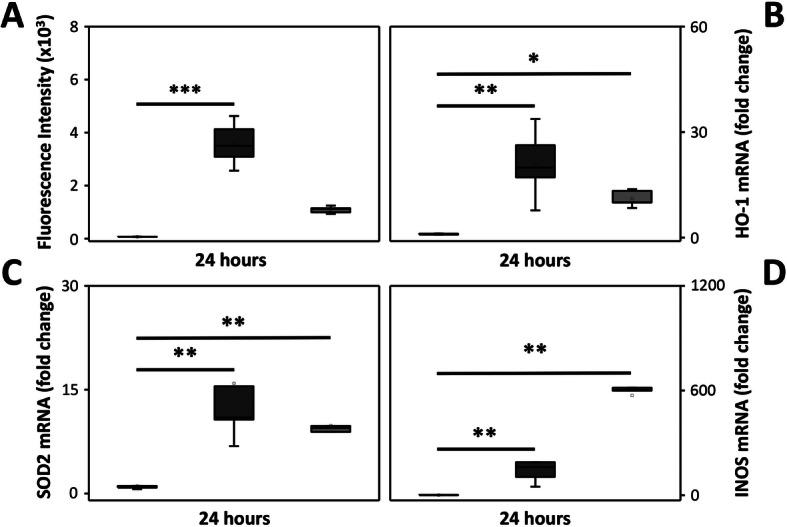 https://cdn.ncbi.nlm.nih.gov/pmc/blobs/4498/7879625/339317475dae/12974_2020_2052_Fig5_HTML.jpg