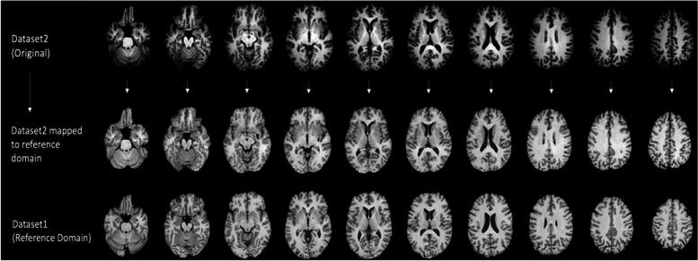 https://cdn.ncbi.nlm.nih.gov/pmc/blobs/449b/9869598/7520a71285b1/12888_2022_4509_Fig1_HTML.jpg