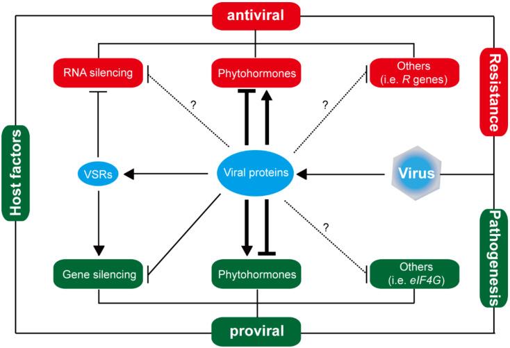 https://cdn.ncbi.nlm.nih.gov/pmc/blobs/449c/9609659/9eb0c5ba4efc/viruses-14-02258-g002.jpg
