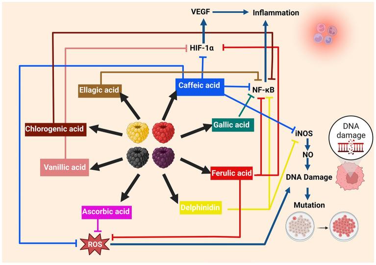 https://cdn.ncbi.nlm.nih.gov/pmc/blobs/449f/10604922/82c0d3e4f467/13007_2023_1094_Fig3_HTML.jpg