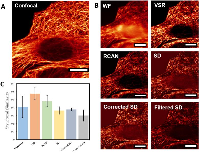 https://cdn.ncbi.nlm.nih.gov/pmc/blobs/449f/10890859/9e2c5d173296/boe-15-2-1074-g007.jpg