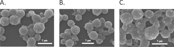 https://cdn.ncbi.nlm.nih.gov/pmc/blobs/449f/6629150/7b3230ea93a2/pone.0219790.g007.jpg