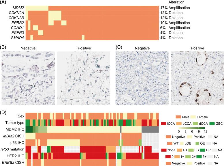 https://cdn.ncbi.nlm.nih.gov/pmc/blobs/44a0/11227357/34cf8aca1bf1/hc9-8-e0461-g007.jpg
