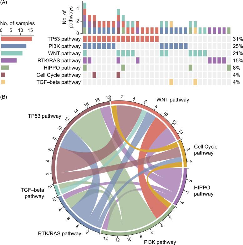 https://cdn.ncbi.nlm.nih.gov/pmc/blobs/44a0/11227357/464f6795f188/hc9-8-e0461-g005.jpg