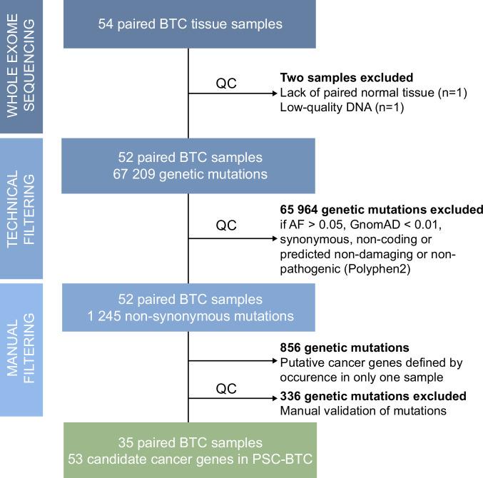https://cdn.ncbi.nlm.nih.gov/pmc/blobs/44a0/11227357/4e3be674853e/hc9-8-e0461-g002.jpg