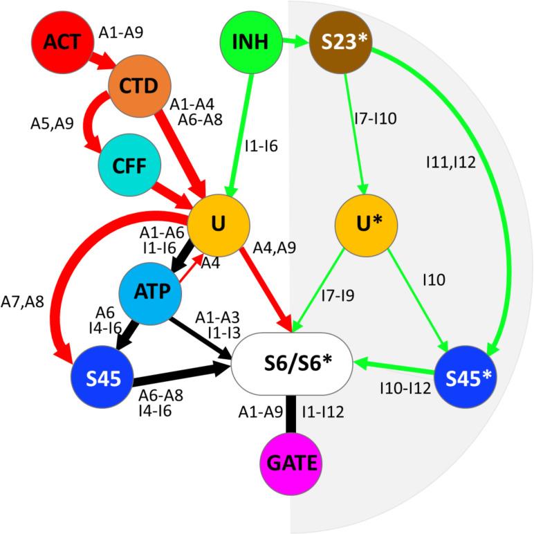 https://cdn.ncbi.nlm.nih.gov/pmc/blobs/44a2/12119028/71e5a44beb84/pcbi.1012950.g008.jpg