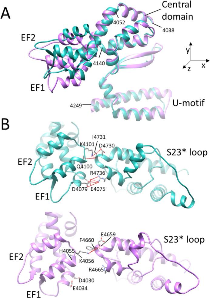 https://cdn.ncbi.nlm.nih.gov/pmc/blobs/44a2/12119028/89c802d381cb/pcbi.1012950.g005.jpg